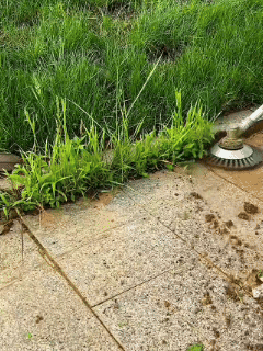 R50 PRO | The Indestructible Trimmer Head