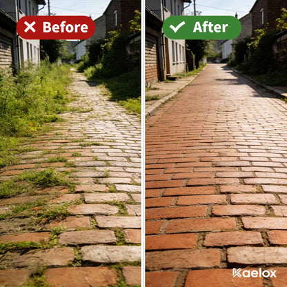 R50 PRO | The Indestructible Trimmer Head